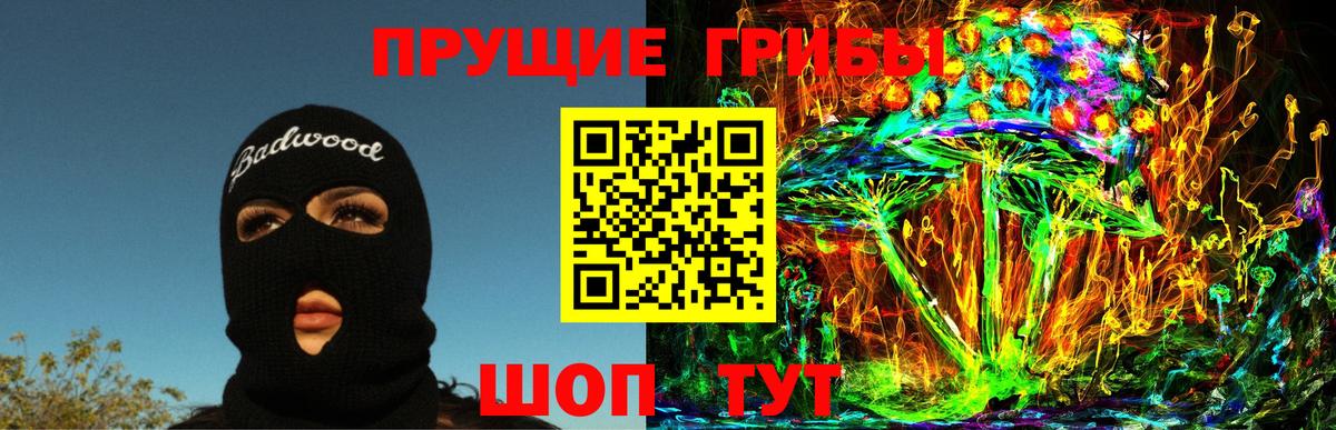 Галлюциногенные грибы Cubensis  Вход с VPN  Грязи 